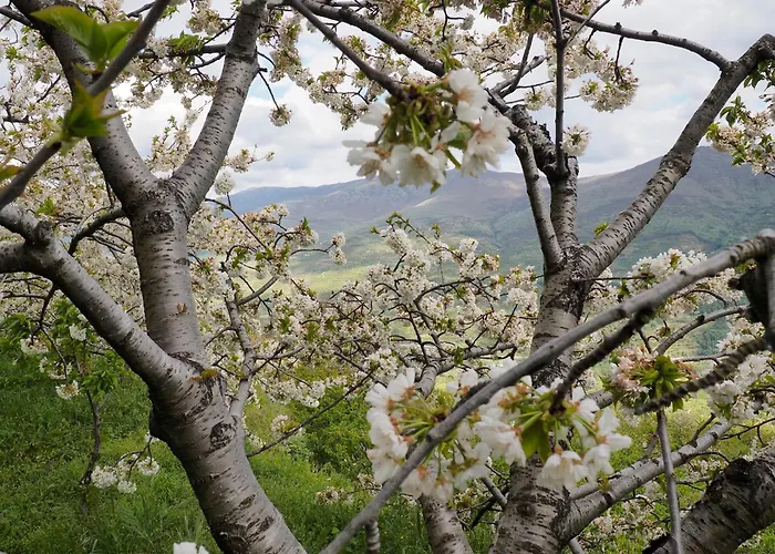 Feriehus Ca Meme Valle Del Jerte