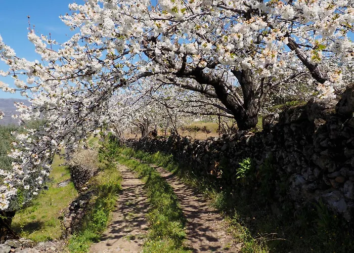 Feriehus Ca Meme Valle Del Jerte *